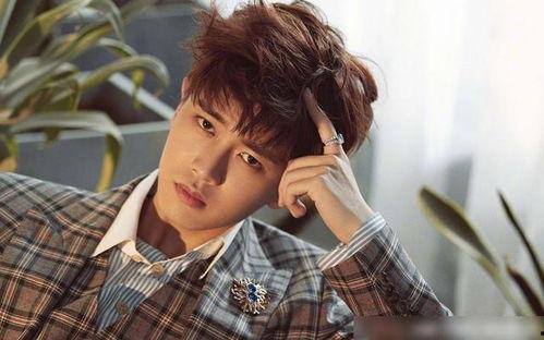 娱乐吃瓜酱任嘉伦